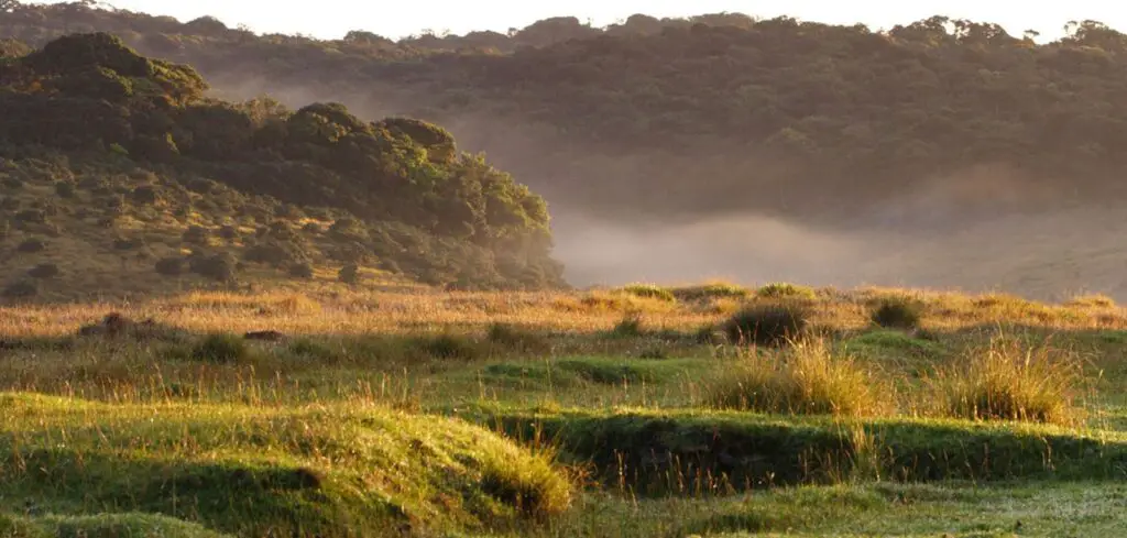 Horton Plains